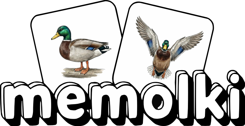 memolki birds - memory card game with birds on Google Play